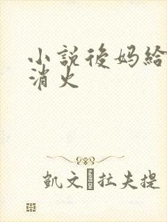 小说后妈给我消消火封面