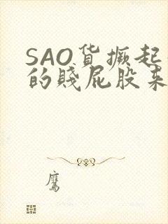 SAO货撅起你的贱屁股来