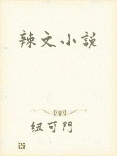 辣文小说封面