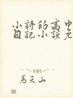 小诗的高中成长日记小说免费阅读