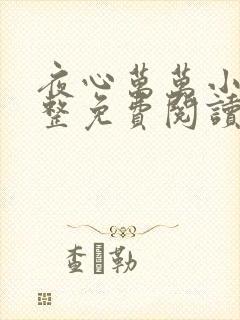 夜心万万小说完整免费阅读全文