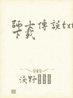 师士传说txt下载