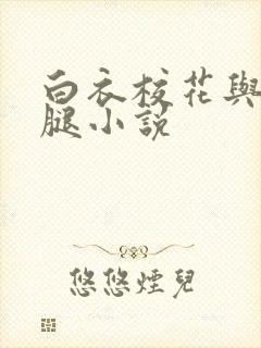 白衣校花与大长腿小说