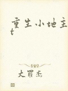重生小地主txt
