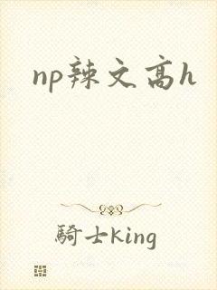 np辣文高h