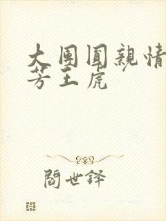 大团圆亲情会王芳王虎封面