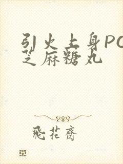 引火上身POP芝麻糖丸封面