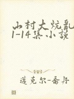 山村大炕乱肉续1-14集小说