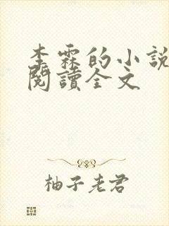 李霖的小说免费阅读全文