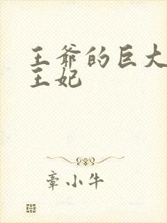 王爷的巨大进入王妃