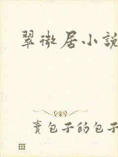 翠微居小说