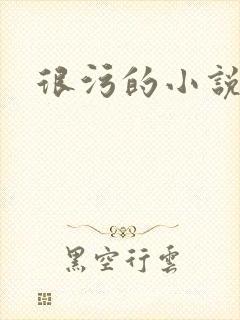很污的小说