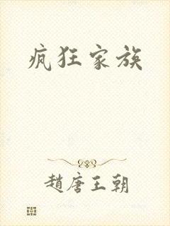 疯狂家族封面