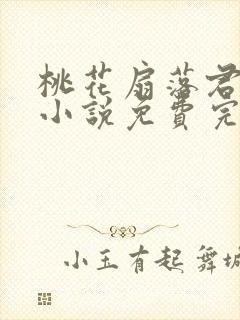 桃花扇落君不还小说免费完整版