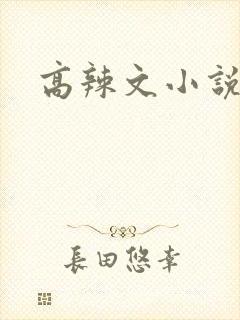 高辣文小说