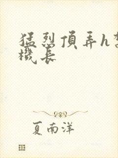 猛烈顶弄h禁欲机长