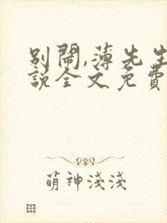 别闹,薄先生小说全文免费阅读