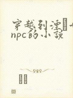 穿越到湮婸世界npc的小说