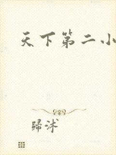 天下第二小说