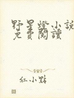 野星灯小说全文免费阅读