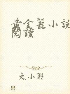 黄金笼小说免费阅读