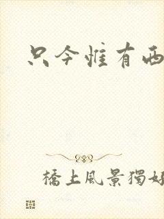 只今惟有西江月封面