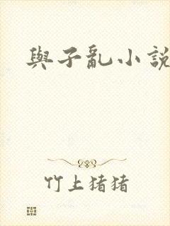 与子乱小说