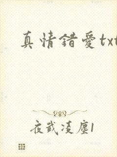真情错爱txt