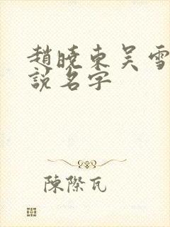 赵晓东吴雪晴小说名字