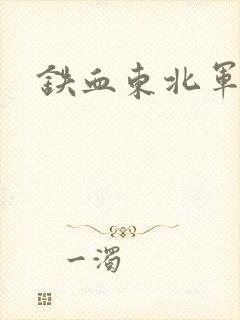 铁血东北军封面
