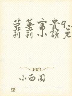 荣华富贵9小王莉莉小说免费阅读