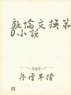 敌伦交换第150小说封面