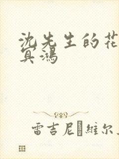 沈先生的花式调冥鸿