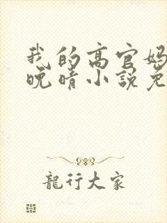 我的高官妈妈苏晚晴小说免费阅读封面