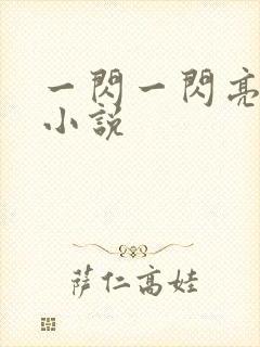 一闪一闪亮星星小说