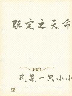 既定之天命封面