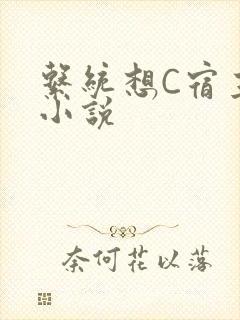 系统想C宿主的小说