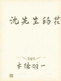 沈先生的花式调