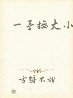 一手抚大小说