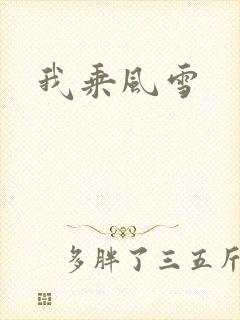 我乘风雪