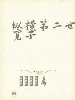 纵横第二世界 宽子