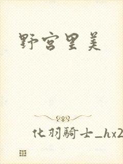 野宫里美封面