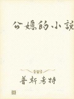 公媳的小说