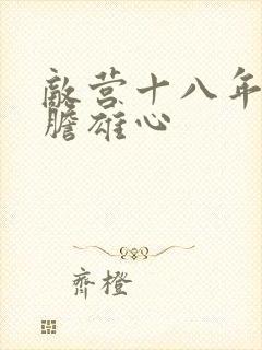 敌营十八年2虎胆雄心封面