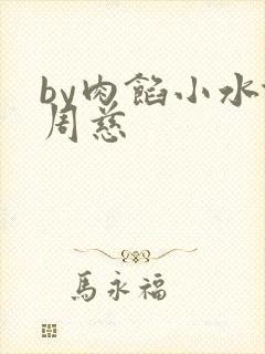by肉馅小水饺周慈封面