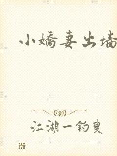 小娇妻出墙记