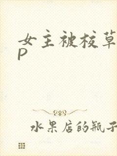 女主被校草们NP