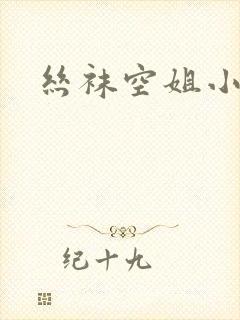 丝袜空姐小说封面