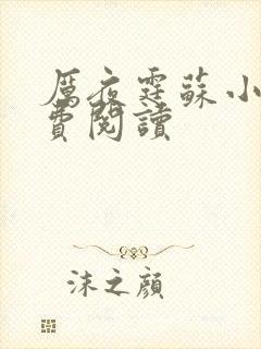 厉夜霆苏小汐免费阅读