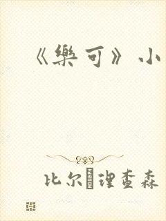 《乐可》小说封面